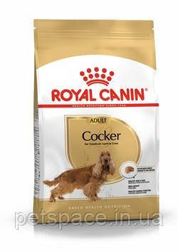Корм для собак Royal Canin Cocker Аdult (Роял Канін Кокер Едалт) 3кг., фото 1