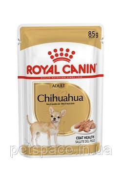 Корм для собак Royal Canin Chihuahua Аdult (Роял Канін Чіхуахуа Едалт) 85 г.