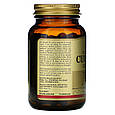 Куркумін SOLGAR "Full Spectrum Curcumin" повного спектру (90 гельових капсул), фото 3