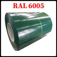 Гладкий лист PE 0,5 мм Marcegaglia RAL 6005