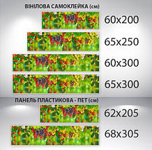 Наклейка на кухонний фартух 60 х 200 см, з фотодруком та захисною ламінацією виноград над водою (БП-s_ed661), фото 3