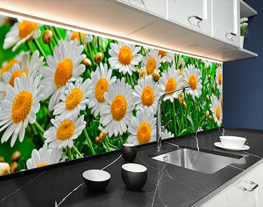 Фото панель універсальна ПЕТ, Самофіксована, 62 х 305 см (товщіна 1.2 мм), ромашки у полі