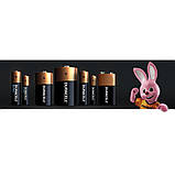 Батарейка Duracell LR14 (С) Alkaline 20шт/уп (ціна за 2шт/бл), фото 6