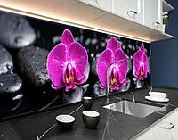 Наклейка на кухонный фартук 60 х 300 см, фотопечать с защитной ламинацией Орхидеи на камне (БП-s_fl11240-3)