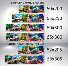 Наклейка на кухонний фартух 60 х 200 см, з фотодруком та захисною ламінацією з морською флорою (БП-s_an126), фото 3