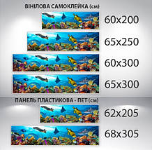 Наклейка на кухонний фартух 60 х 200 см, з фотодруком та захисною ламінацією підводний світ (БП-s_an141), фото 3
