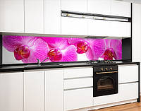 Наклейка на кухонный фартук 60 х 200 см, фотопечать с защитной ламинацией Орхидеи розовые (БП-s_fl11611)