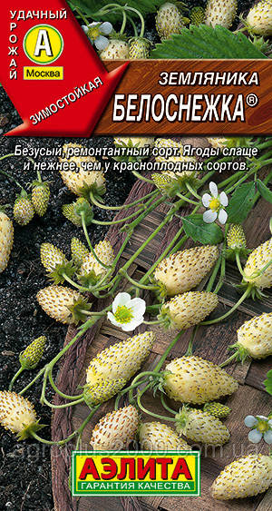 Насіння Земляніка ремонтантне Білосніжка 0,04 грама Аеліта