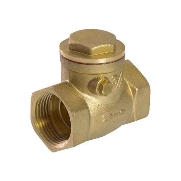 Зворотний клапан пелюстковий 1