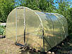 Теплиця "Скеля" 3х8м, труба 20х20мм з плівкою 120 мкн, фото 6