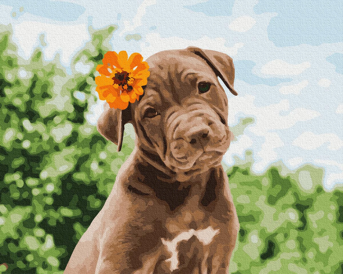 Картина за номерами 40х50 см Brushme Собачка милий романтик (GX 37552), фото 1