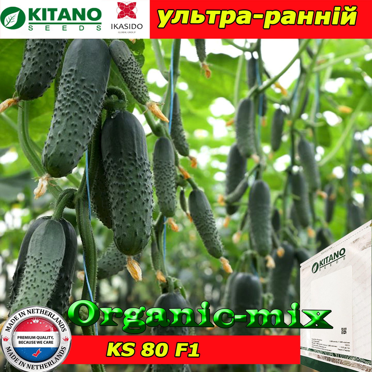 Насіння, огірок ультраранній KS 80, суперпучковий, ТМ Kitano Seeds
