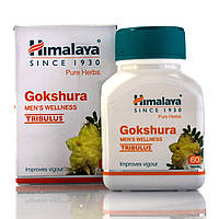 Гокшура Хімалая Трибулус TRIBULUS TERRESTRIS/Gokshura, Himalaya/60 таб від каменів у нирках, під час простати