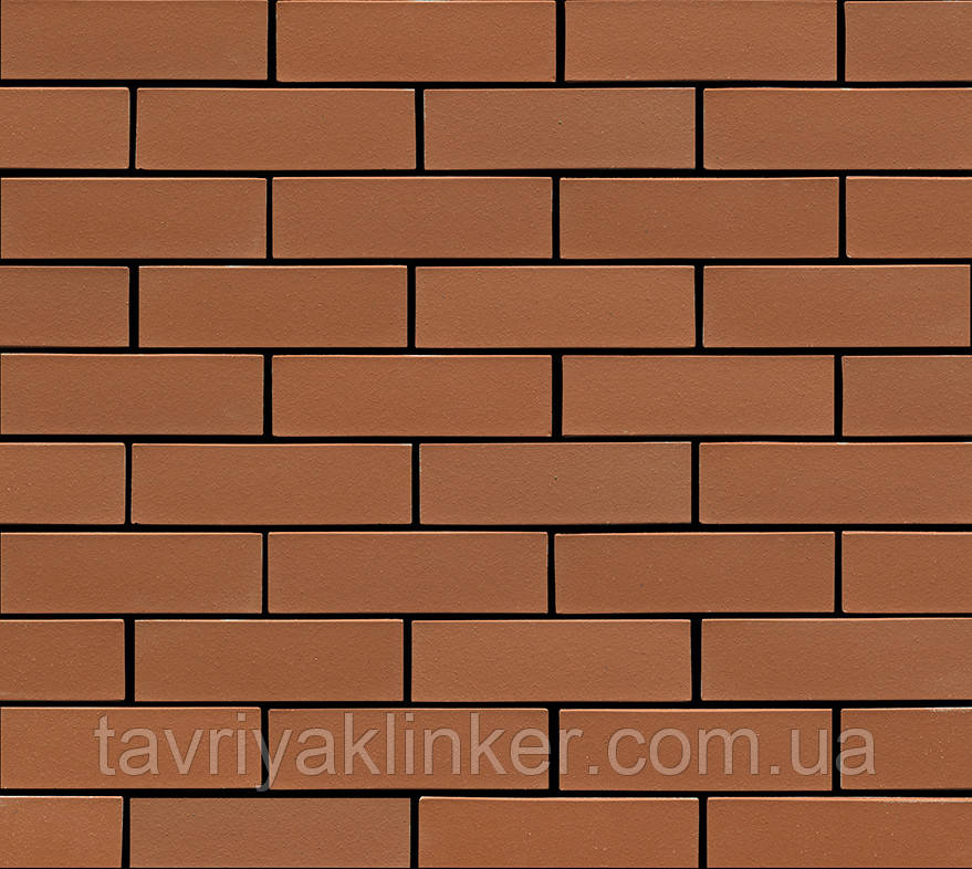 Клінкерна цегла 452 Buchholz WF-210/100/50 мм