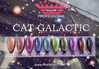 Гель лак Master Professional 24Д Cat Galactic 01