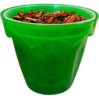 Комплект для пересадки орхідеї "Колізей" з орхідейним субстратом, D150 мм