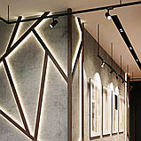 Світильник трековий Luce Intensa LI-20-01 20Вт 4200К чорний, фото 5