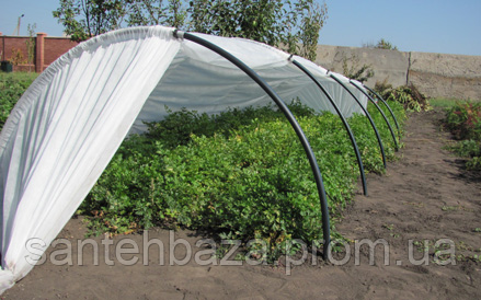 Купить Парник-3м,40% плотности, цена 193.75 грн — Prom.ua (ID#1338728912)