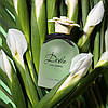 Dolce&Gabbana Dolce Floral Drops туалетна вода 75 ml. (Дільче Габбана Дольче Флорал Дропс), фото 7