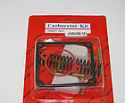 Ремкомплект карбюратора Ява/JAWA 12в, фото 2