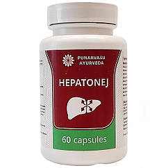 Гепатенедж (Hepatonej, Punarvasu) гепатопротектор, 60 капсул