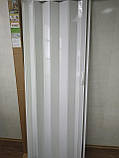 Гармошка ширма білий ясен 820х2030х0,6 мм гармошка розсувні міжкімнатні пластикова глуха, фото 2