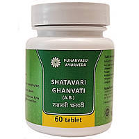 Шатавари Экстракт (Shatavari Ghanvati, Punarvasu), 60 таблеток