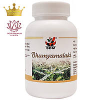 Бхумиамалаки (Bhumyamalaki Capsules, SDM), 100 капсул - экстракт Филлантус Нирури 500 мг, для печени