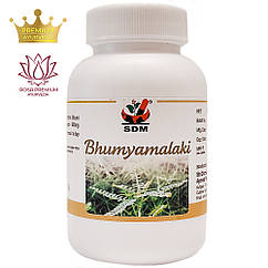 Бхуміамалакі (Bhumyamalaki Capsules, SDM), 100 капсул Філлантус Нірурі 500 мг, для печінки