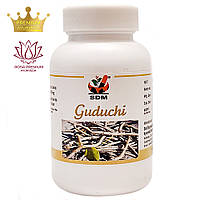 Гудучи капсулы (Guduchi Capsules, SDM), 100 капсул - Аюрведа премиум качества