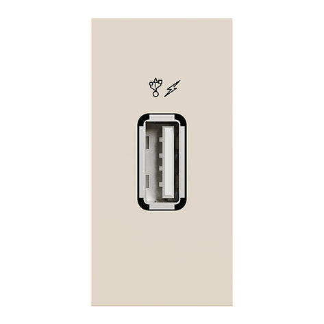 Розетка USB інформаційна 1 модуль бежевий Unica New NU342844, фото 1