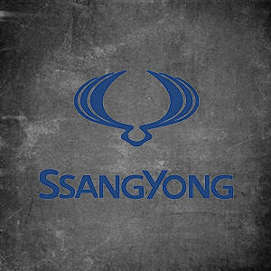 Ssang Young