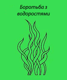 Боротьба з зеленню