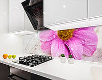 Кухонная панель на кухонный фартук цветок в росе, на двухстороннем скотче 68 х 305 см, 2 мм