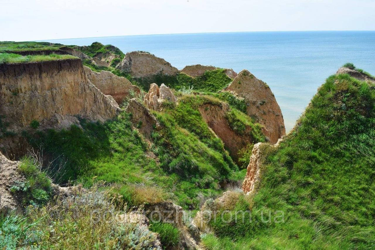 Херсон - Олешки - Рожеве озеро - Асканія Нова - Актівський каньйон - фото 5 - id-p1339205953