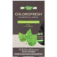 Nature's Way, Chlorofresh, Хлорофилл, со вкусом мяты, 59 мл