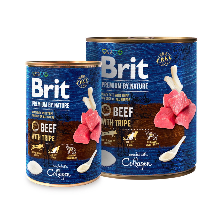 Brit Care Adult Large Breed сухий корм для дорослих собак великих порід 12кг