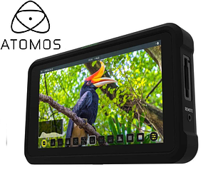 Монітори Atomos