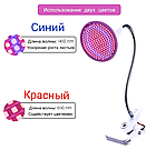 Фитолампа для рослин на 126 leds з гнучким кронштейном, фото 7