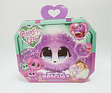 М'яка іграшка "Няшка-блукаюча зурка" 6166 ABCD, 4 види, гребінець, шпилька, нашийник, в коробці, фото 3