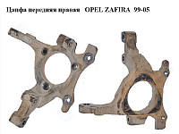 Цапфа передняя правая OPEL ZAFIRA 99-05 (ОПЕЛЬ ЗАФИРА) (24443540)