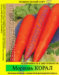 Насіння моркви «Корал» 25 кг (мішок)