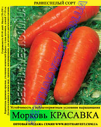 Насіння моркви «Беладона» 25 кг (мішок)