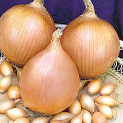 Цибуля сіянка Стурон 8/21 0.5 кг Top onions