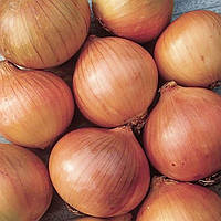 Лук севок Сеттон 8/21 0.5 кг Top onions