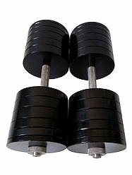 Гантелі набірні 2 по 50 кг Гантелі, гирі, штанги та диски металеві з порошковим фарбуванням