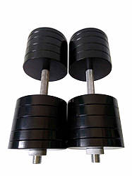 Гантелі набірні 2 по 48 кг Гантелі, гирі, штанги та диски металеві з порошковим фарбуванням