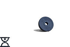 Диск композитний на 1.25 кг 31 мм Гантелі, гирі, штанги і диски з АВС покриттям