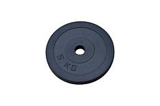 Диск прогумований 5 кг на гриф 25 мм Гантелі, гирі, штанги і диски металевий