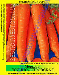 Насіння моркви «московська пізня» 25 кг (мішок)